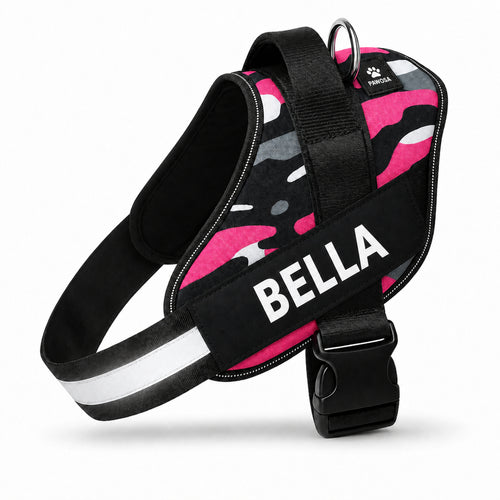 Customized Dog Harness