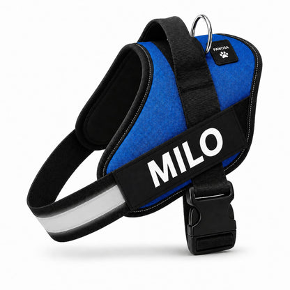 No Pull Dog Harness Custom