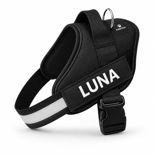 No Pull Dog Harness Custom