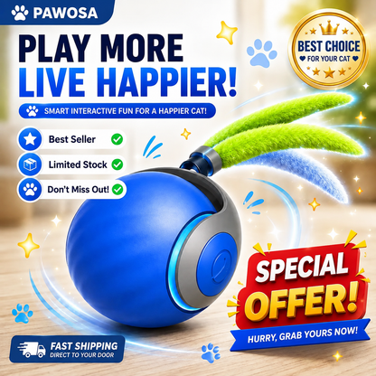 Automatic Rolling Ball Cat Toy – Rechargeable Interactive Moving Ball