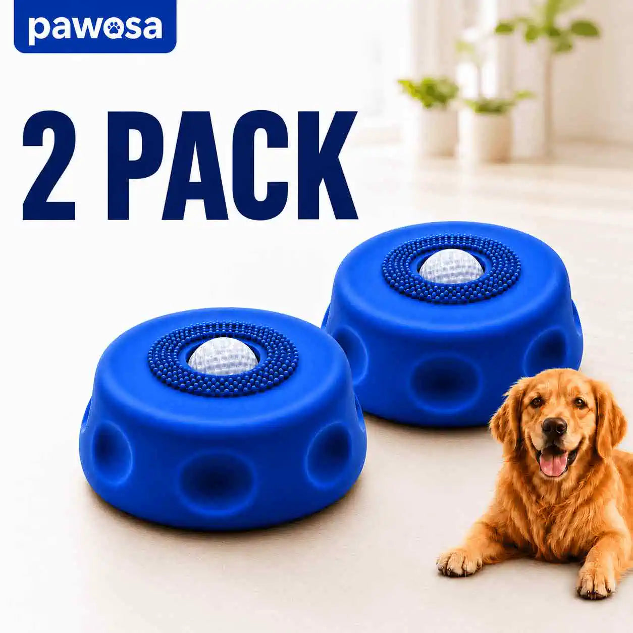 Dog_Play_bowl_2_Pack