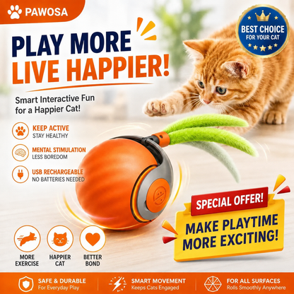 Automatic Rolling Ball Cat Toy – Rechargeable Interactive Moving Ball