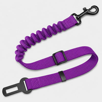 A purple elastic bungee leash with black metal hardware, including a snap hook, carabiner clip, and adjustment buckle, shown on a light gray background.