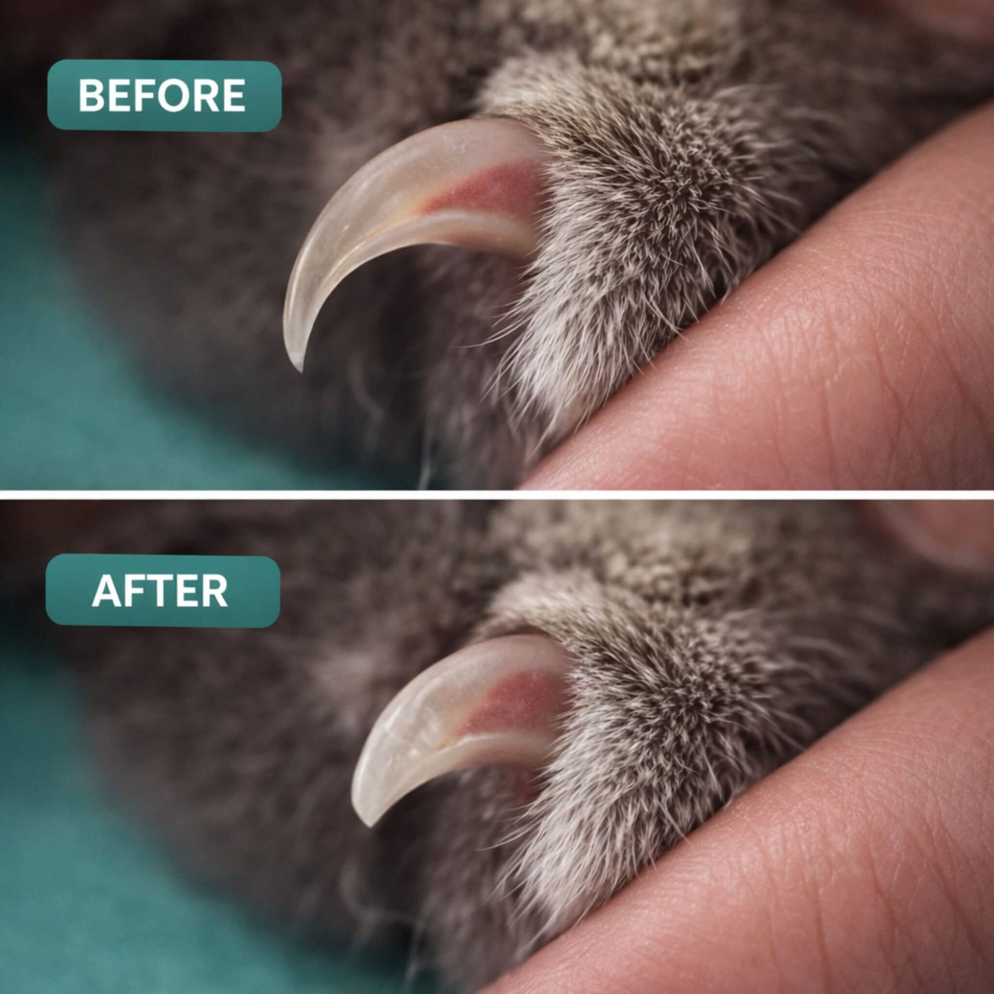 Pet Nail Clipper with LED
