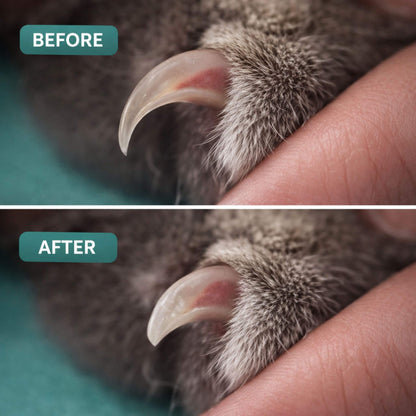 Pet Nail Clipper with LED