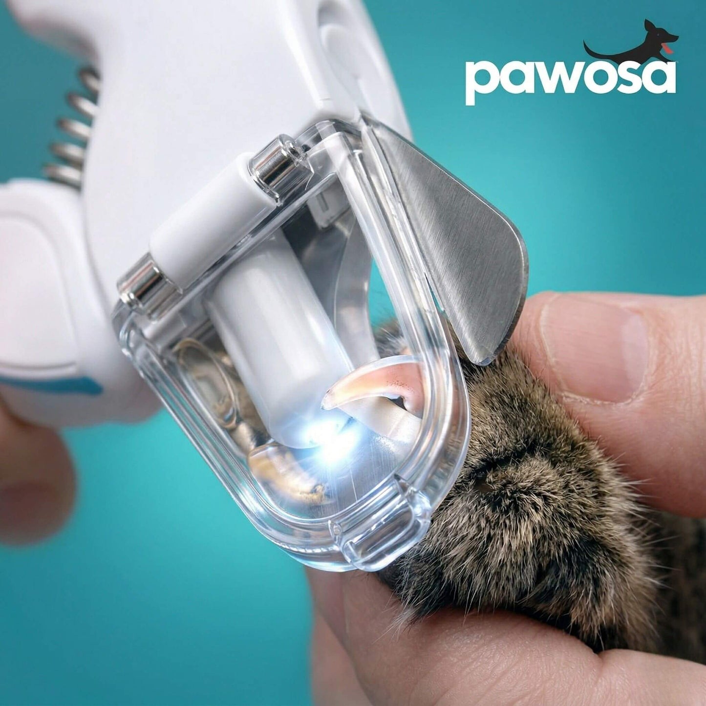 Pet Nail Clipper with LED