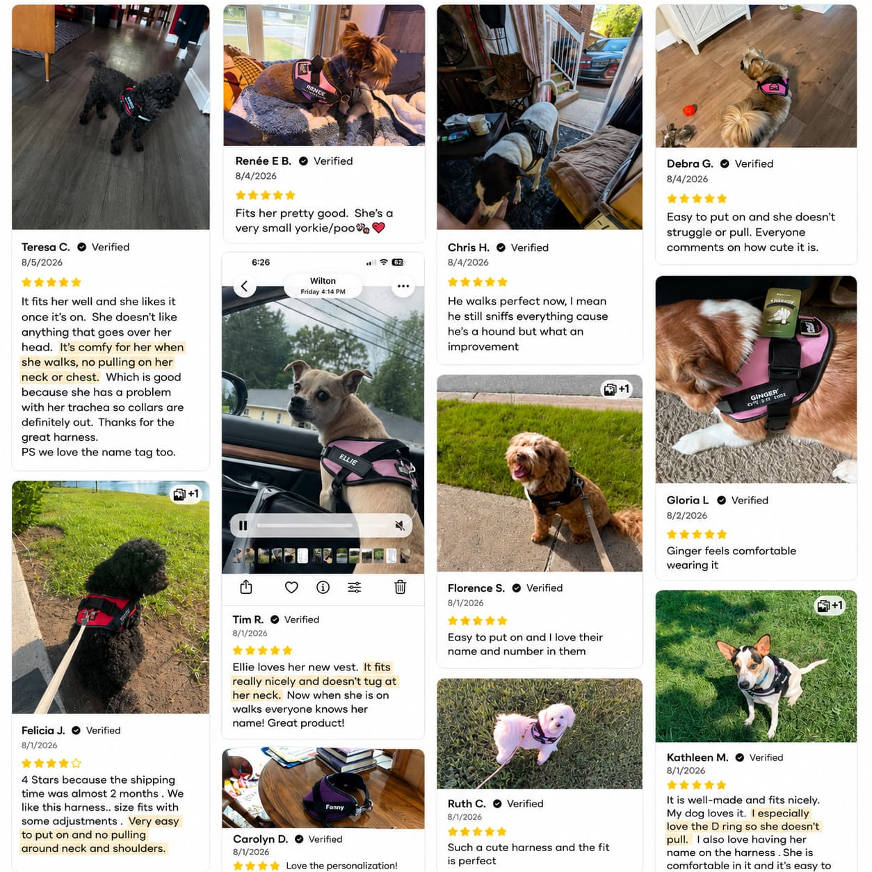 No Pull Dog Harness Custom