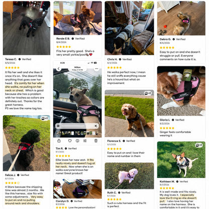 No Pull Dog Harness Custom