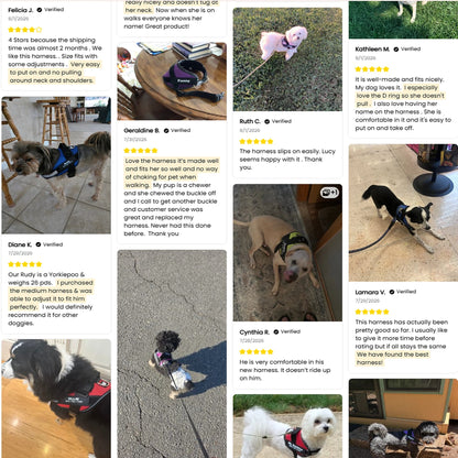 No Pull Dog Harness Custom