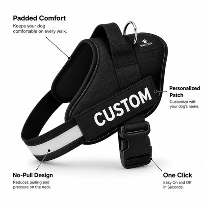 No Pull Dog Harness Custom
