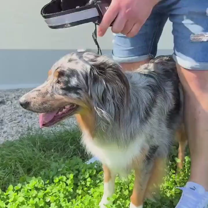 Personalized Pawosa Harness